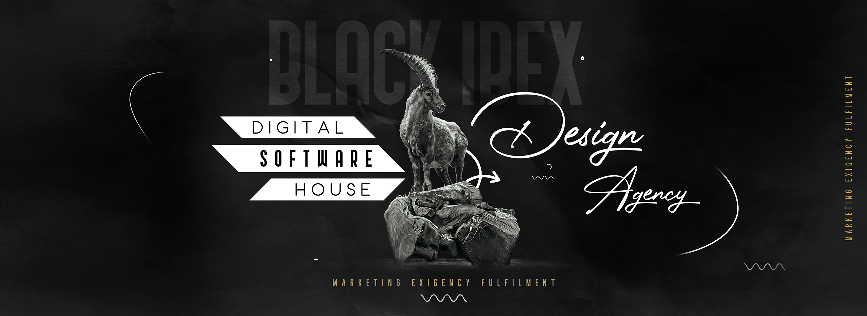 Black Ibex Software House